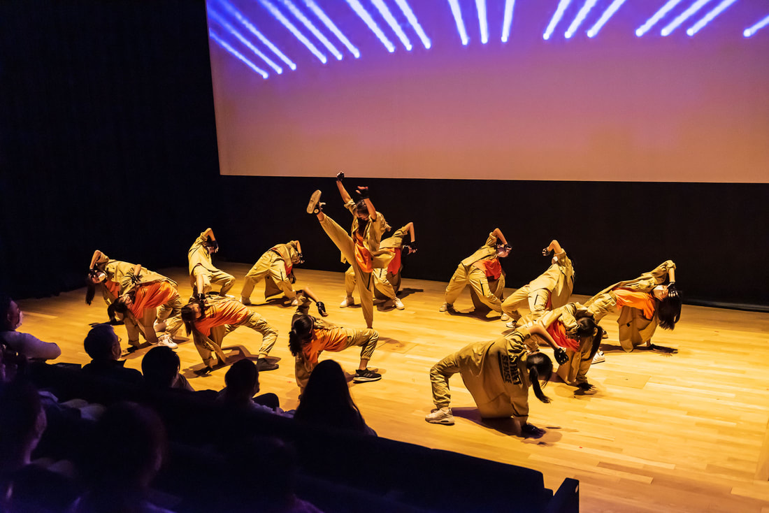 GROUP & PRIVATE ​DANCE CLASSES